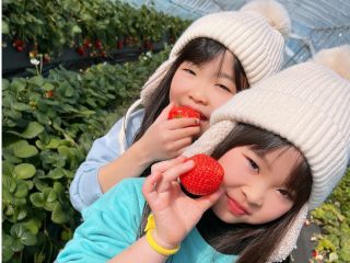 美味しいいちごとともに、素敵な思い出をお作りいただけますように☆彡☆彡
