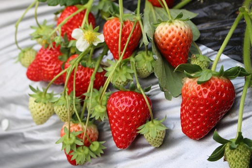 ñAbvłBE݂Ă͂ƂĂW[V[