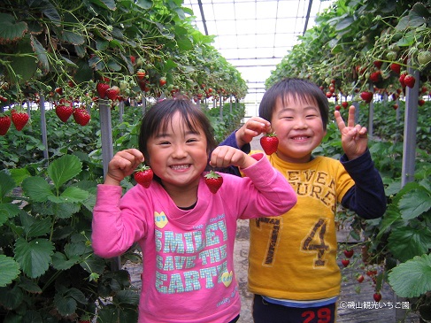 Ȃql₷ēE݂₷̂Ńt@~[ł