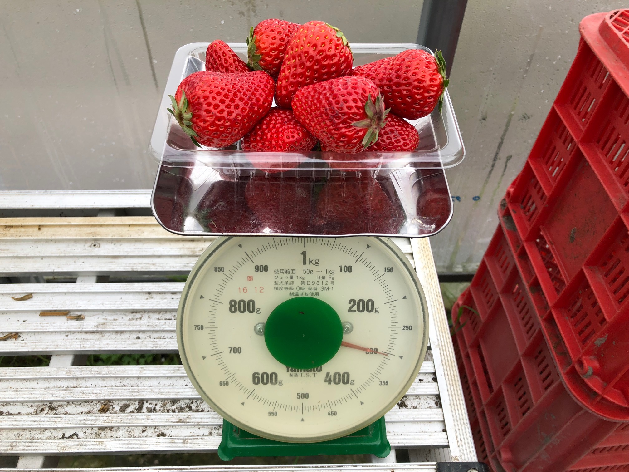 300̖ڈłꍇ͕ʓrnɂĂĂ܂B