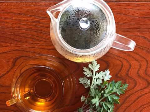 19 00start 香りで癒されるハーブマッサージ 希望の方には送迎付 山人クラブ じゃらん遊び体験