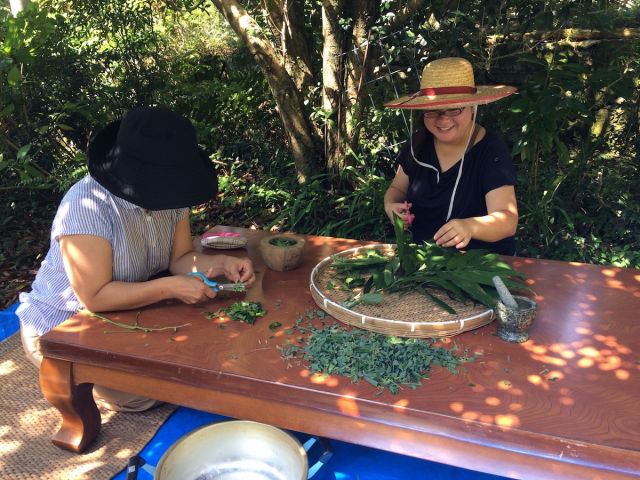 植物療法 里山森林浴と香りで癒されるハーブボールワーク 山人クラブ じゃらん遊び体験 植物療法 里山森林浴と香りで癒されるハーブボールワーク 山人クラブ じゃらん遊び体験