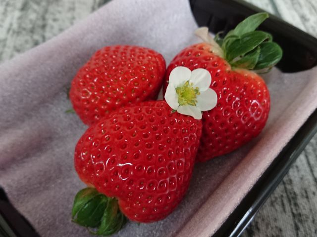 埼玉県品種「あまりん」も直売しております。