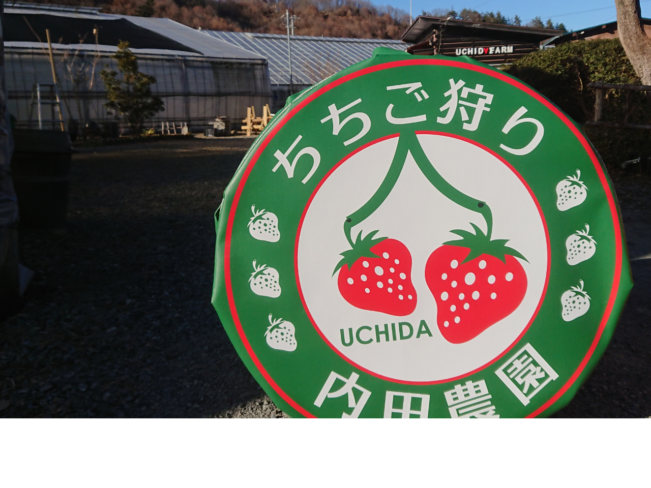 ちちご（ちちぶ×いちご）狩りへようこそ！