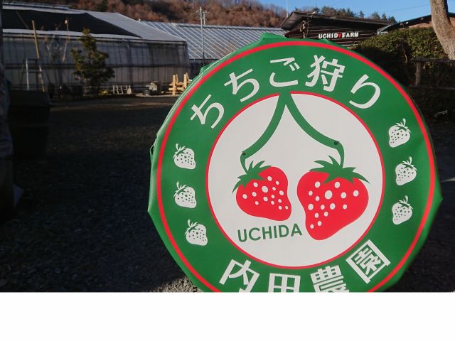 ちちご(ちちぶ×いちご)狩りへようこそ!