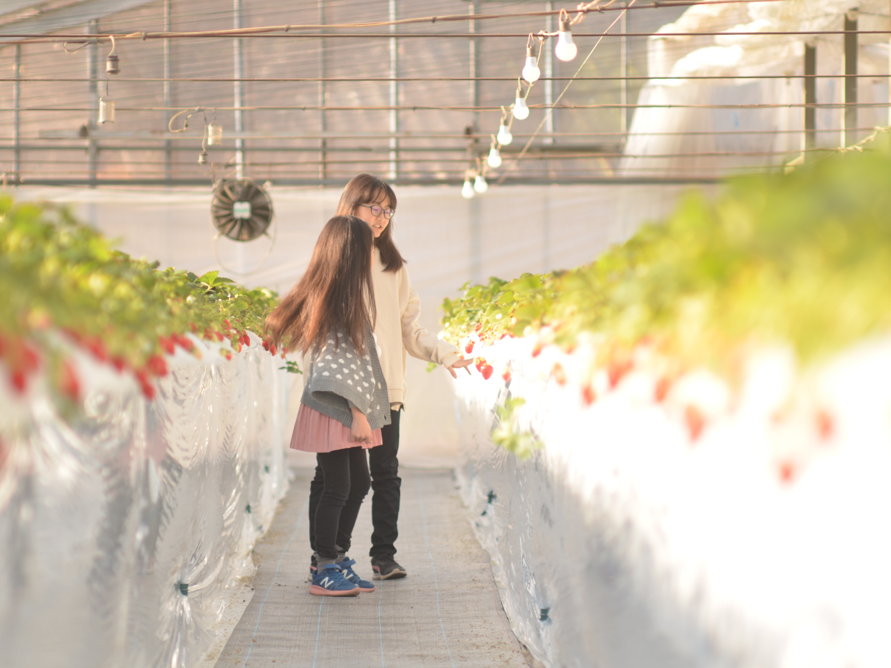 �Ԋu���L�߂ɂƂ��Ă���̂ŎԂ�����x�r�[�J�[�ł��ʂ�܂��B