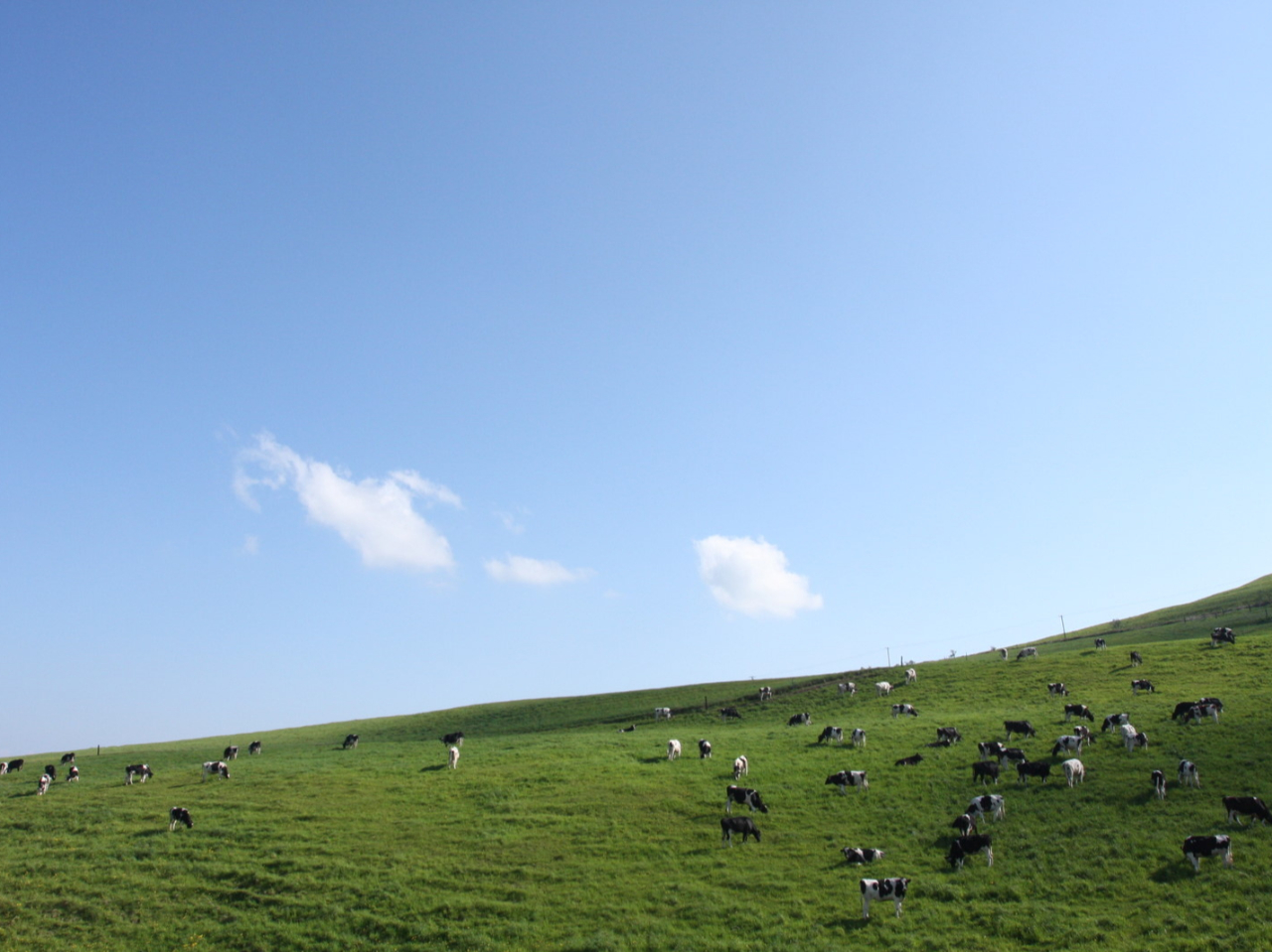ナイタイ高原牧場