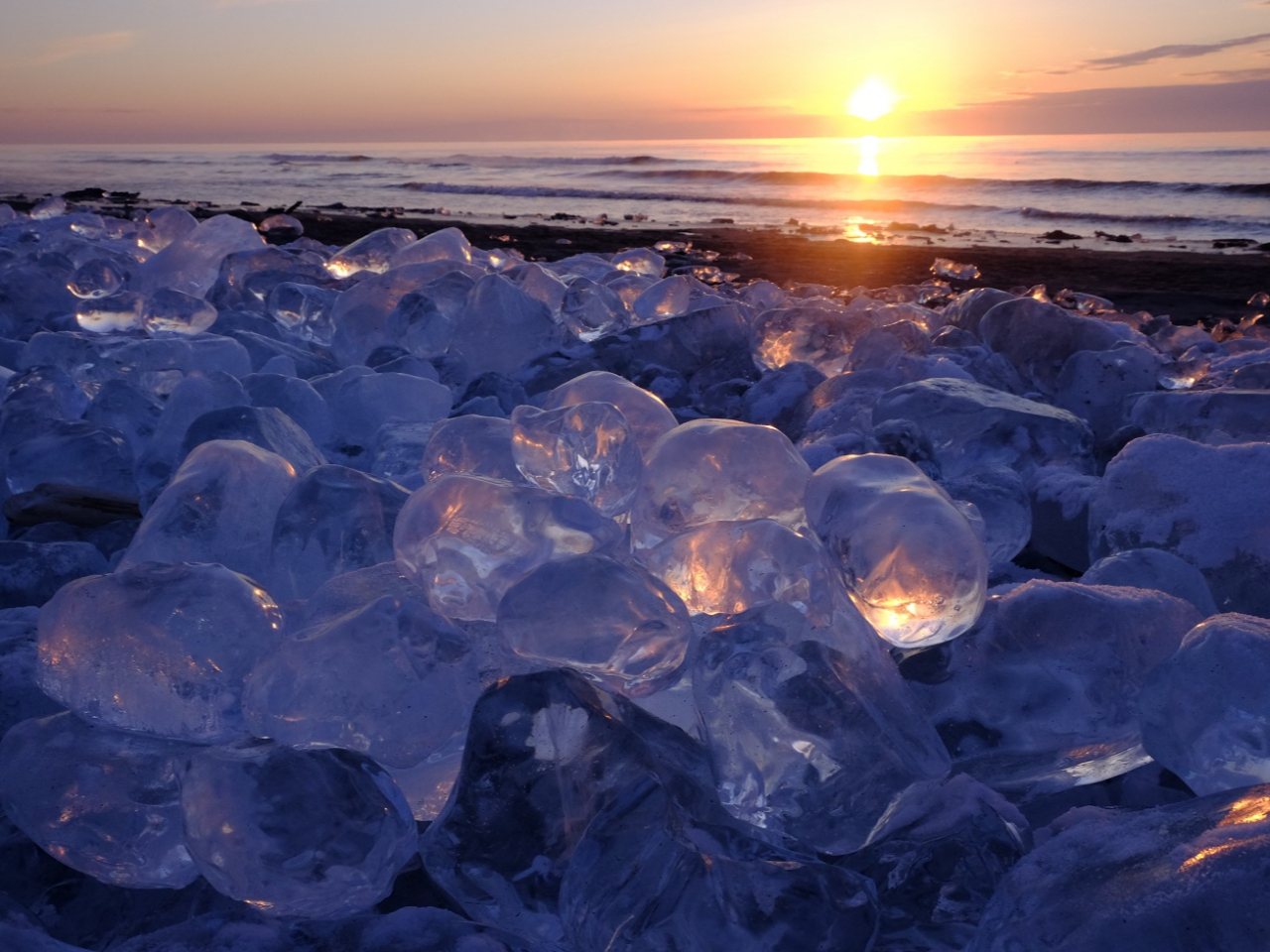 札付き♥️ジュエリーアイス✨ 2026年「ジュエリーアイス(豊頃町大津海岸) 」「ハルニレの木（豊頃町