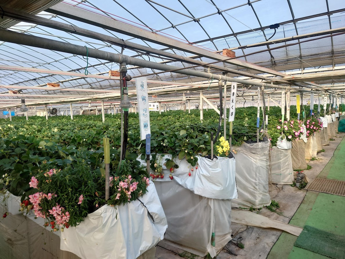 yA͐撅ōLꏊł̐Hהׂo܂