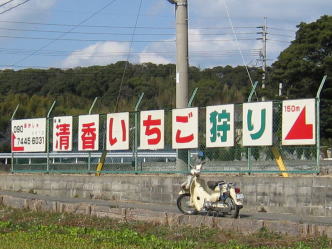 ���̊Ŕ��ڈ�ł��������s�����玅�����ʂɑ���ƉE���Ɍ����Ă��܂���