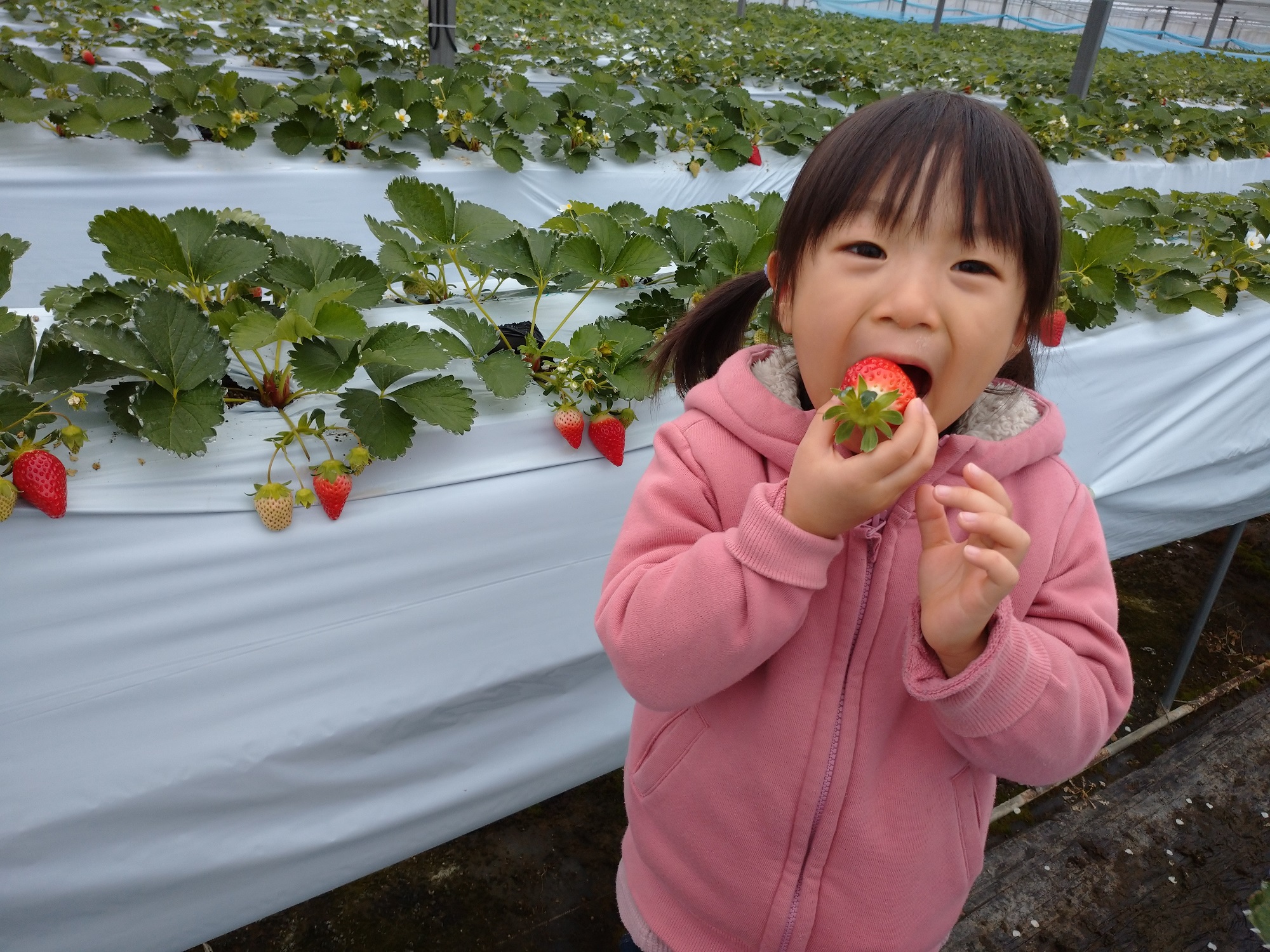 ����������������`��