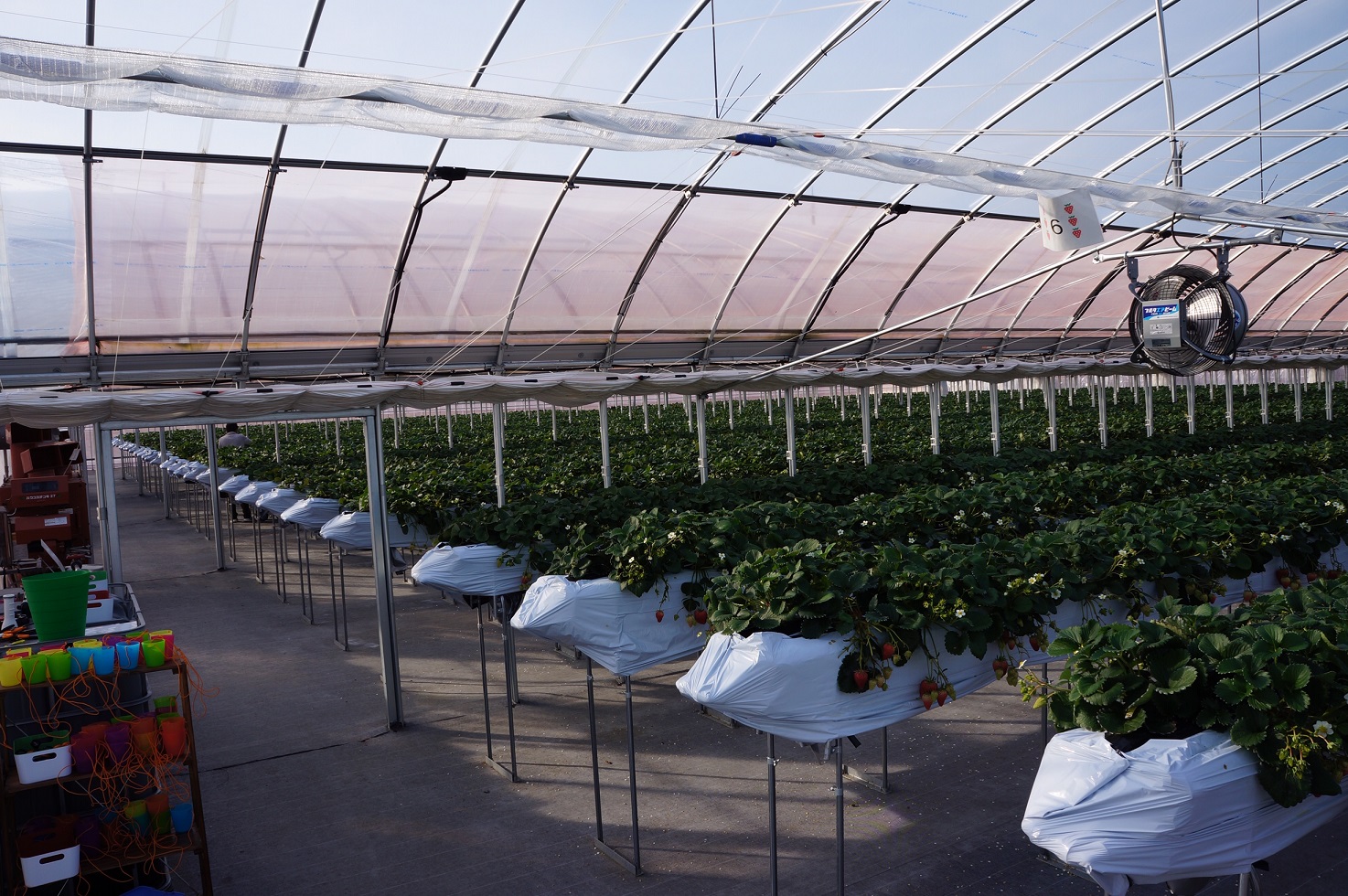 �n�E�X�̒��͍L�X���Ă���܂��I