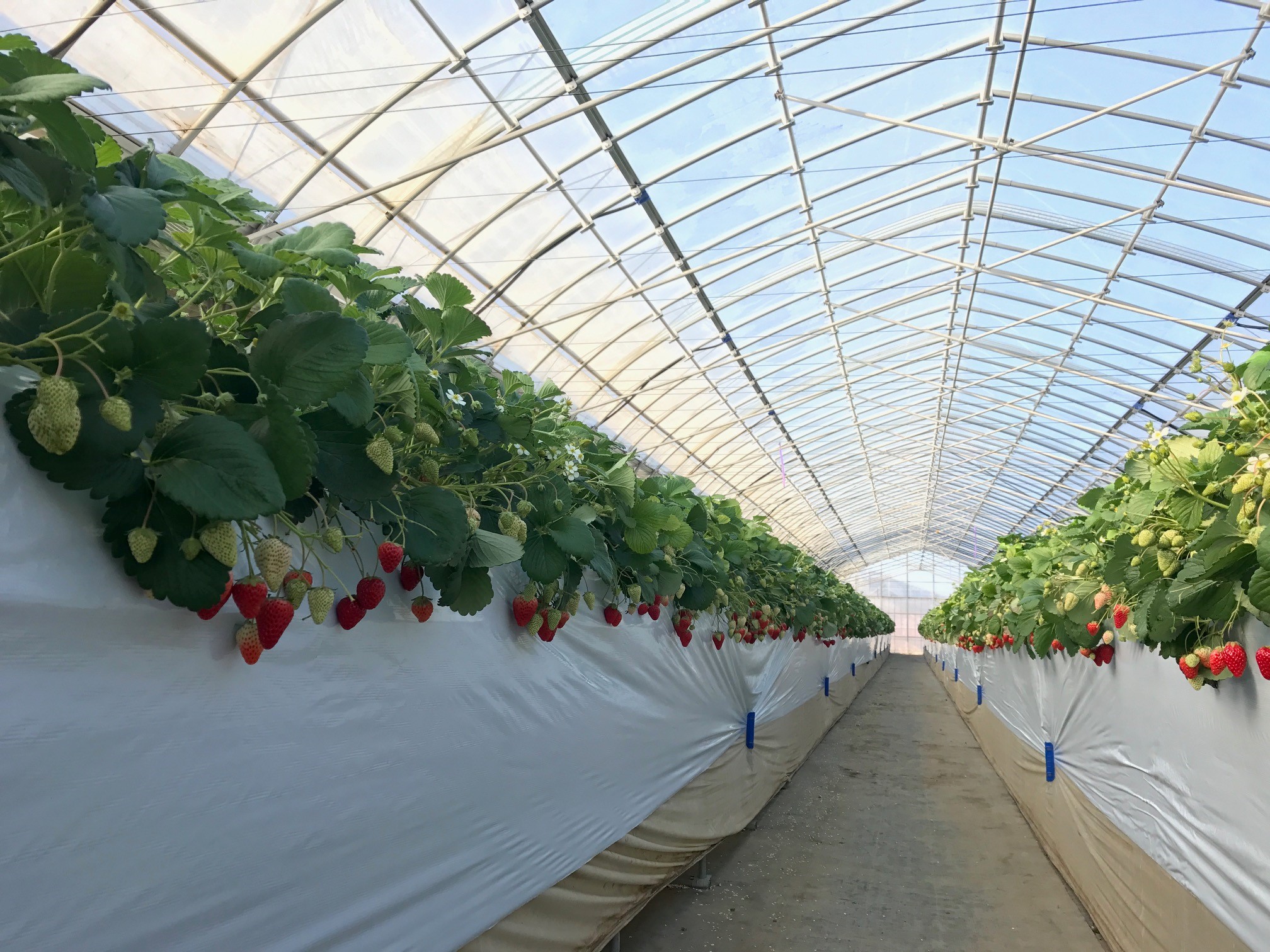 ���ݍ͔|��������Ă��܂��B�����Ȃ���y���߂܂���