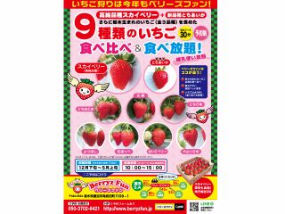 3 22 4 11 高級品種スカイベリーを中心に9種類のイチゴを立ったまま食べ比べ 日によって食べられない品種もございます ベリーズファン じゃらん遊び体験 3 22 4 11 高級品種スカイベリーを中心に9種類のイチゴを立ったまま食べ比べ 日によって食べられない品種もございます ベリーズファン じゃらん遊び体験