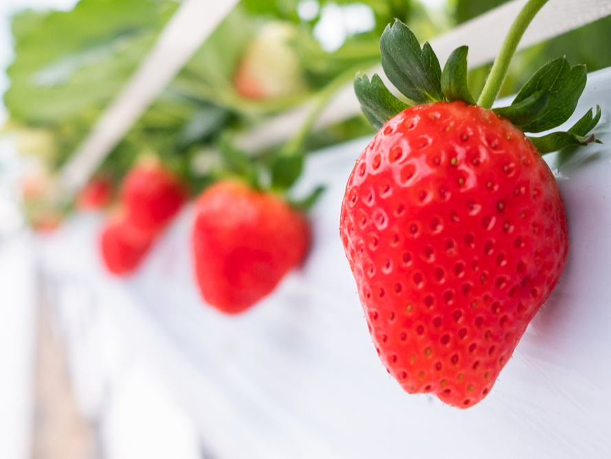 2022N11ĩC`SHה(OO)