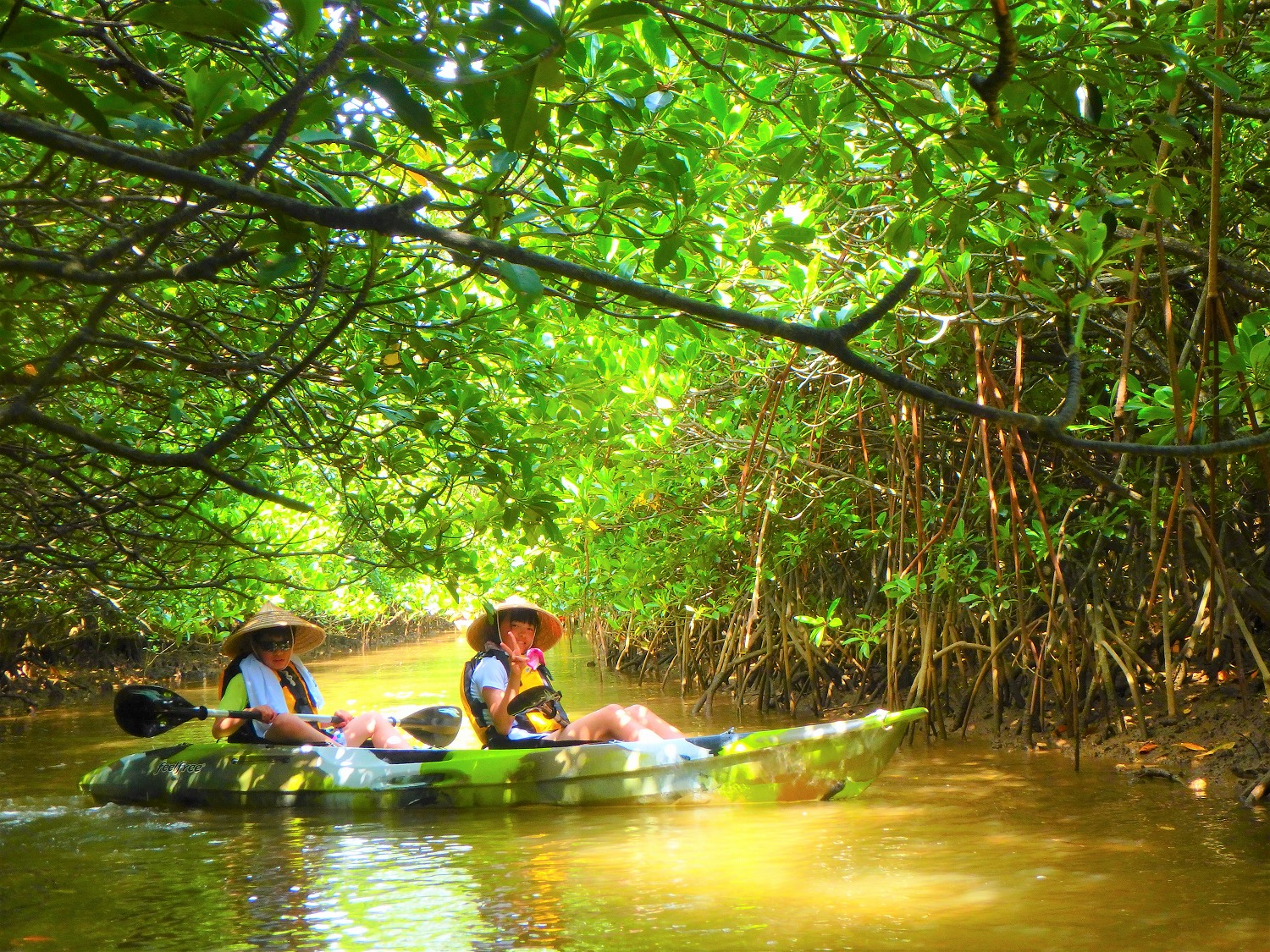 沖縄本島最大！【慶佐次川マングローブカヌー】2時間 他社より最大艇数