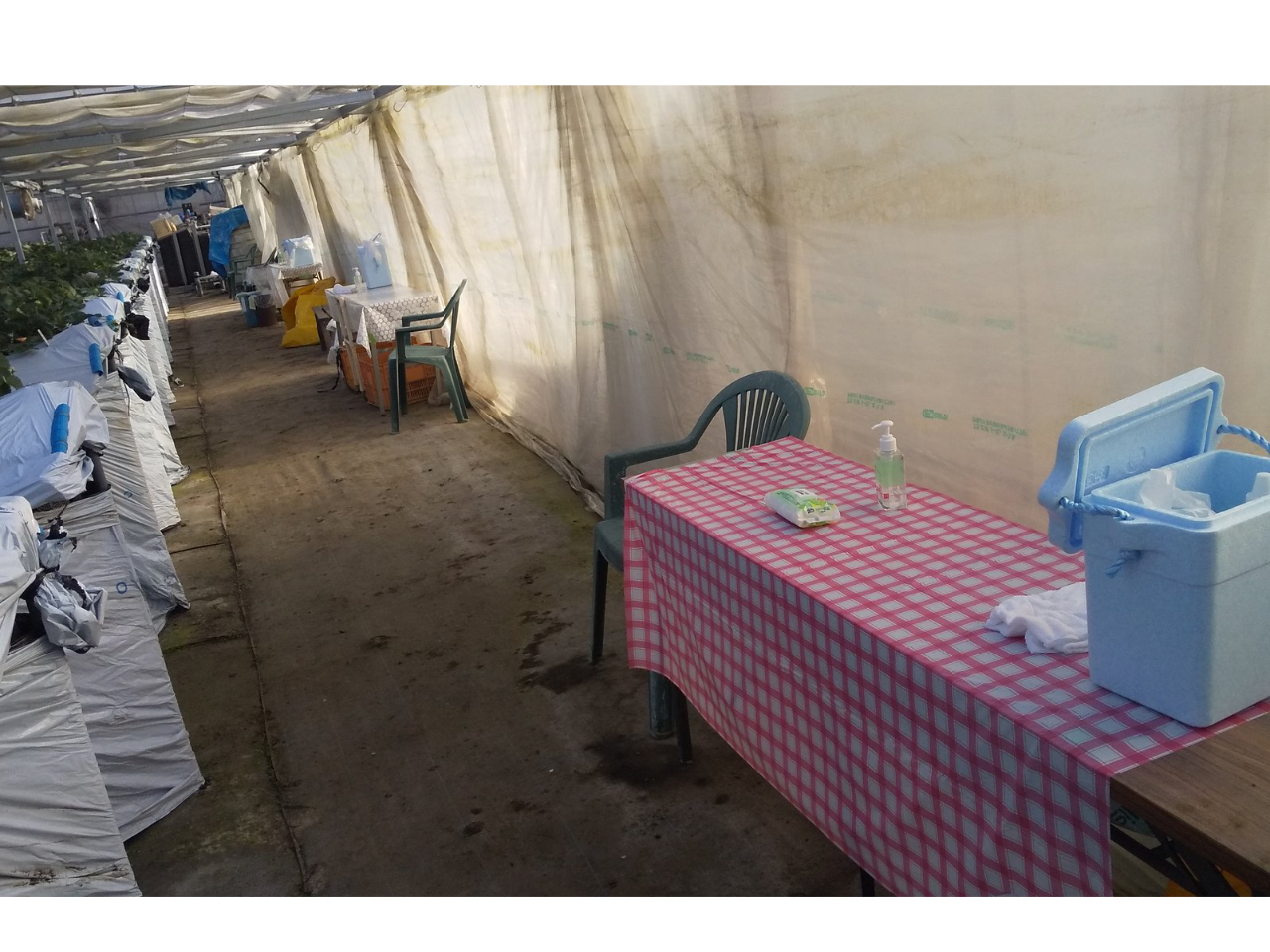 ���V�^�R���i�E�C���X�����Ǘ\�h�΍������~���N�E�e�[�u���E���ݔ����̓O���[�v���ɂ����p���������܂�