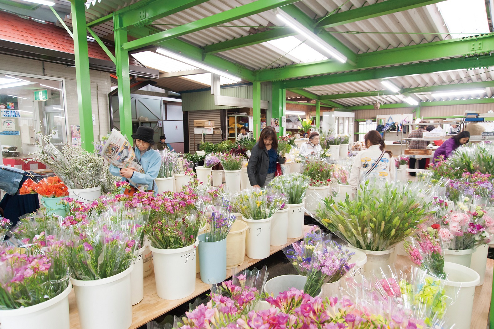 �������ł͐V�N�ȉʕ����؂�̔����Ă���܂�