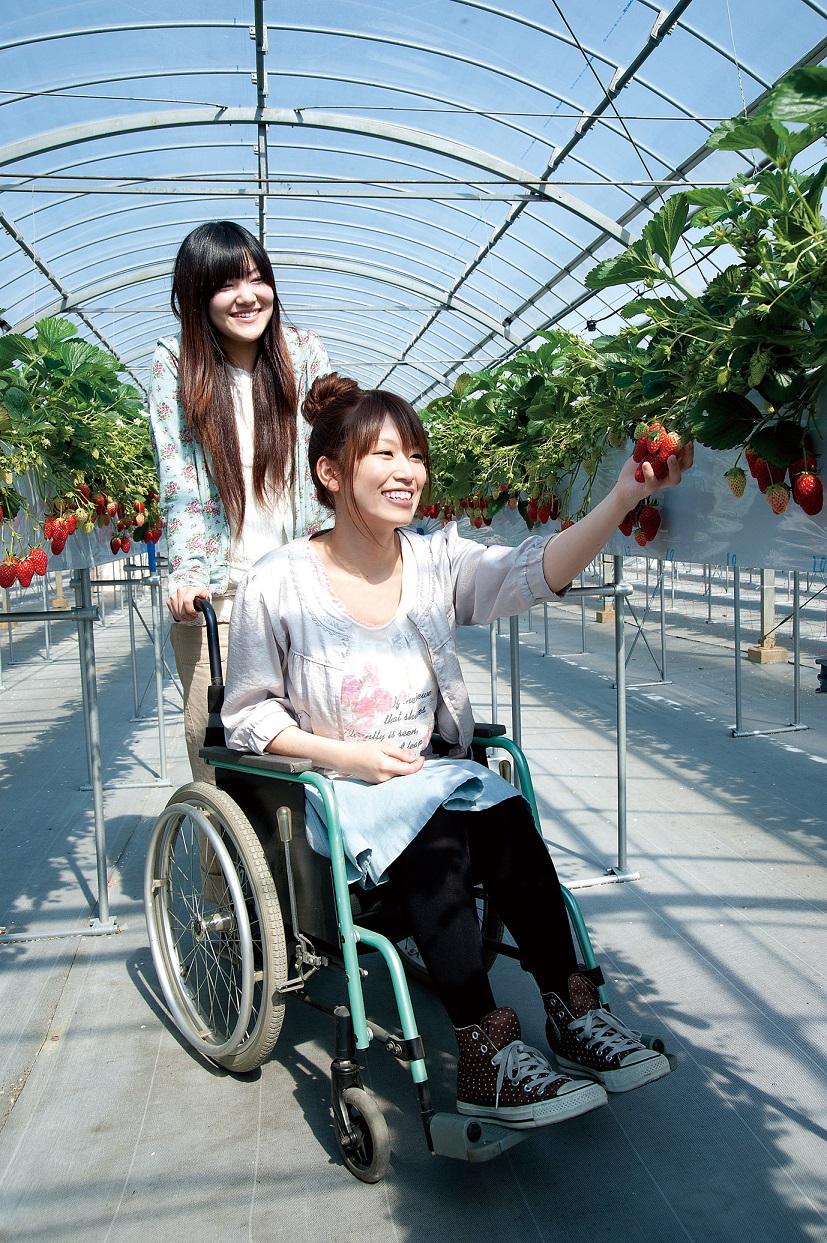 �Ԃ�����x�r�[�J�[�ł̗��p���n�j�ł��I