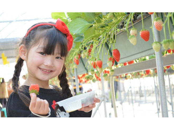 ���ݍ͔|�Ȃ̂ł��q�l�����l�̂����܂ł݂�Ȃ��E�݂₷���I