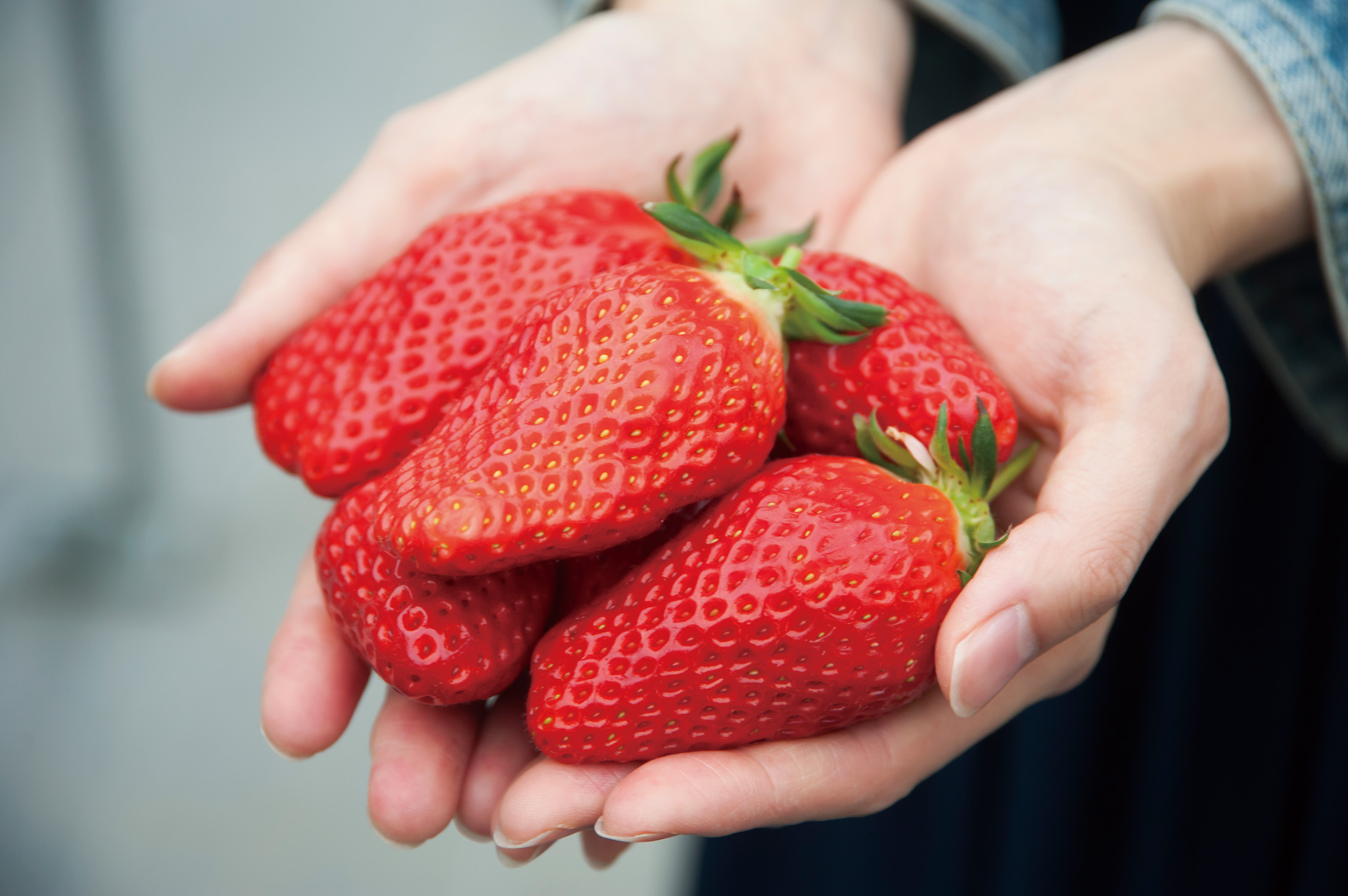 �Â��������͕̏P�ł��B���q�l�⏗���ɓ��ɐl�C������܂��B