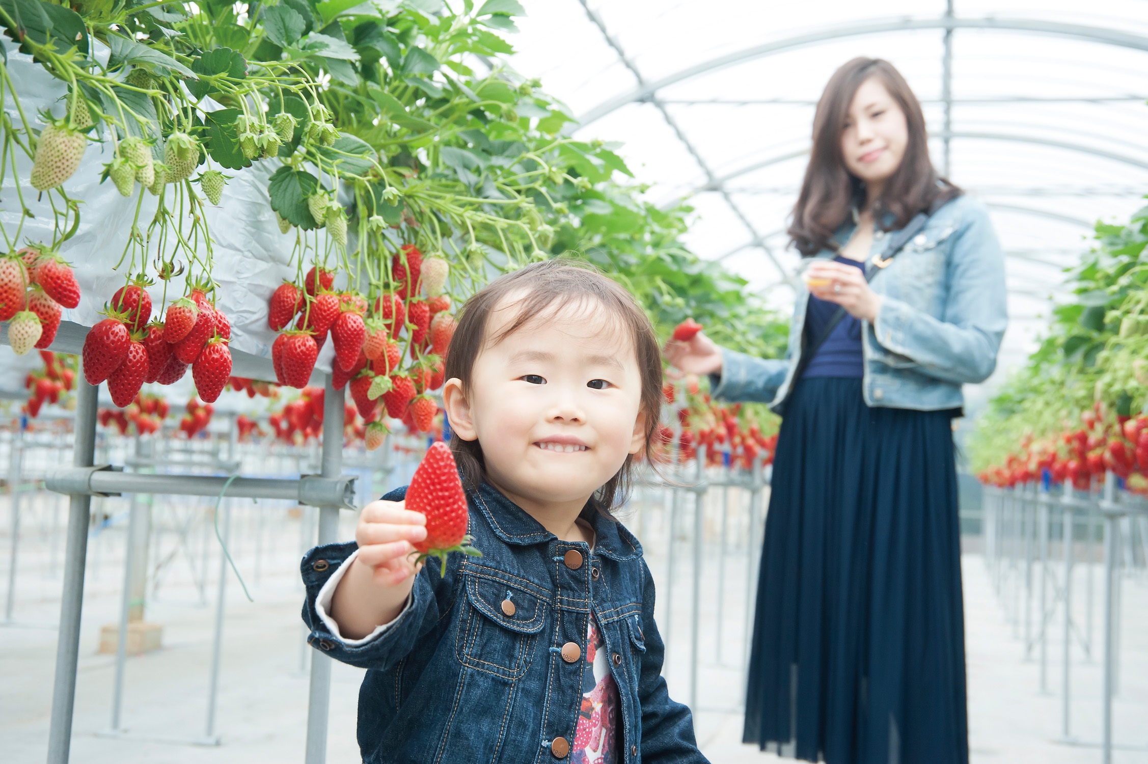 �����ό��A�O���X�l���Ύ����̂��������������オ�肭��������َR���X�}�[�gI.C���Ԃ�5����