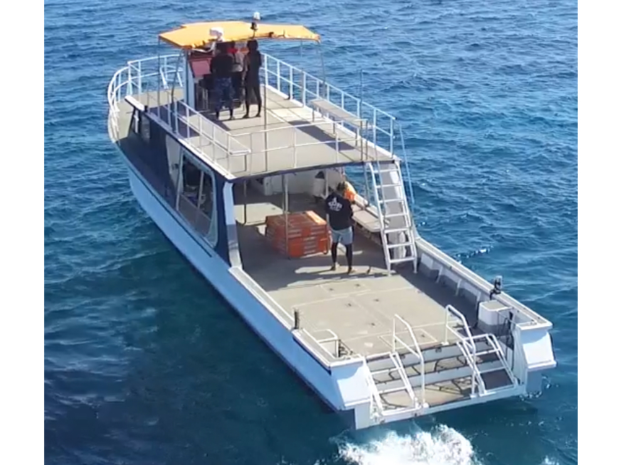 S17m̃_CrO{[g@25ŏoq܂BD̓CtWPbgpBhJbp肢܂