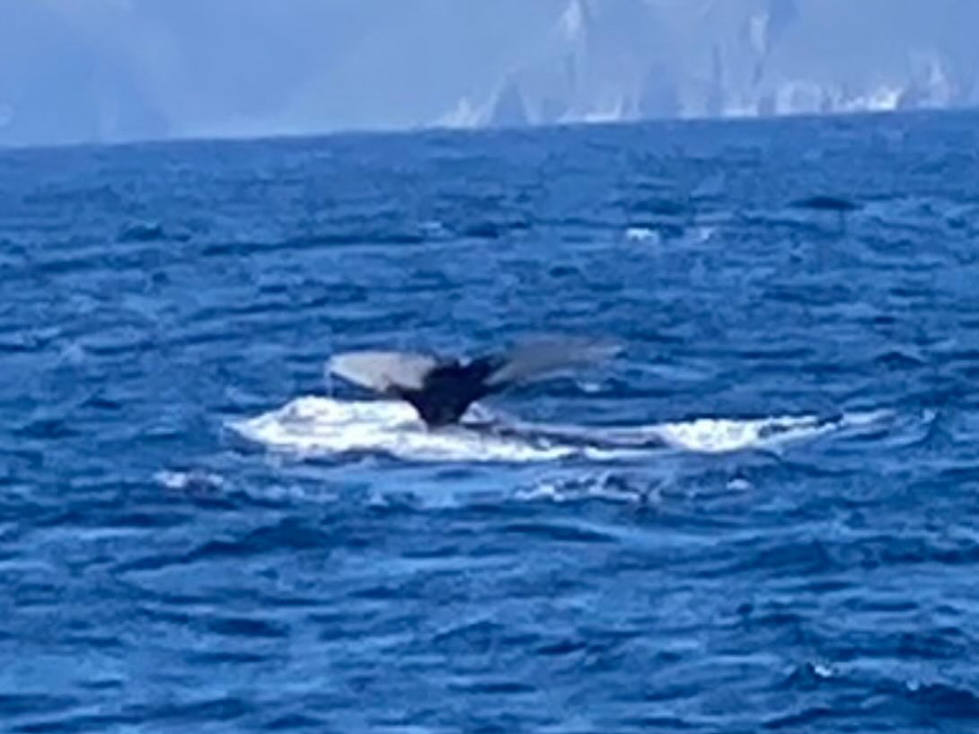 NW̐K͐l̎w̗lɑSႢ܂B̔ʂ\łB`́wZx܂傤I