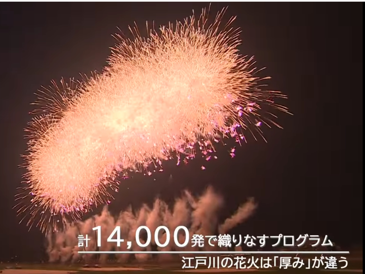 ねむねむの実。様専用江戸川区花火大会 協賛席 4名分1区画 ねむねむの実。様専用江戸川区花火大会 協賛席 4名分1区画