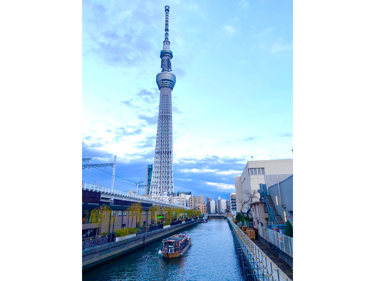 �k�\�Ԑ�ƃ~�Y�}�`�����ɖ����A����ꂽ�V�������V�݂���A�G���߂���ƕ]���I