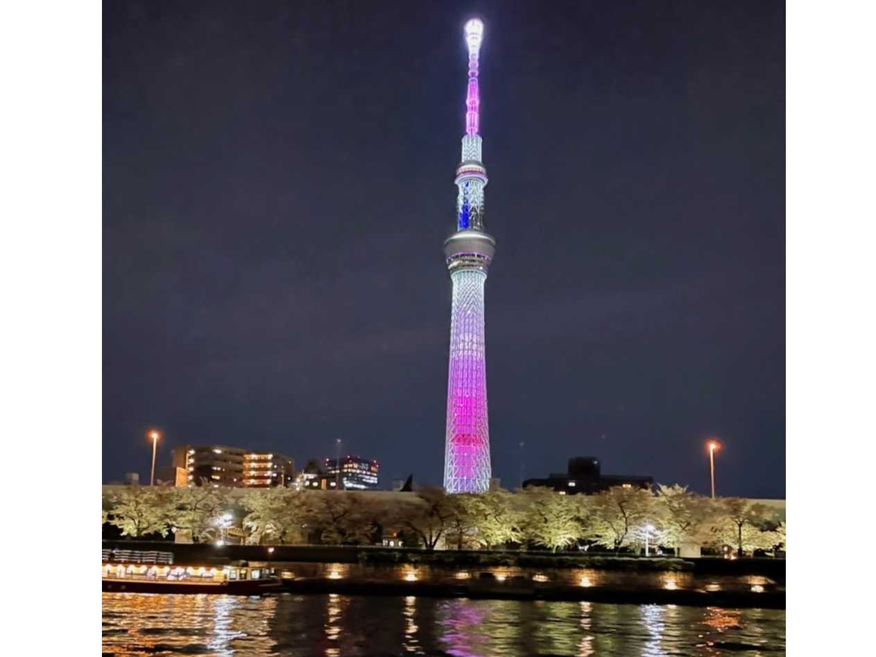 �l�X�ȕ\��������Ă����X�J�C�c���[�B�@���̃��C�g�A�b�v�Ƒ�R�̉��`�D