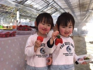 ≪千葉・富津≫【2021年2月〜4月5日】イチゴ狩りプラン!《30分食べ放題&2種類以上のいちご食べ比べができます♪》