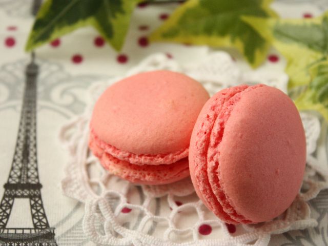 お菓子作り体験プラン マカロン パリジャン ラズベリークリーム お土産5個付き おもてなしのフランス家庭焼き菓子と紅茶の教室プチ タ プチ じゃらん遊び体験 お菓子作り体験プラン マカロン パリジャン ラズベリークリーム お土産5個付き おもてなしのフランス家庭焼き菓子と紅茶の教室プチ タ プチ じゃらん遊び体験