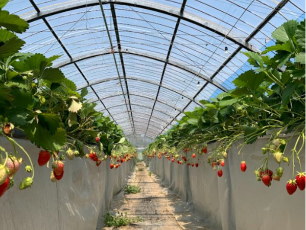 rj[nEXςɍL邢łB ̗ʂLxɂ܂B