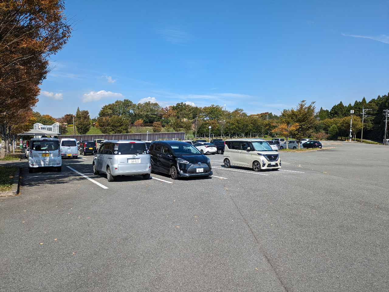 ht@[hE厩RhN̐XhԏƋpׁ̈AROOŒԂł܂BSʃAXt@gܑłB