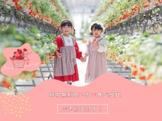 時間無制限!いちご食べ放題!