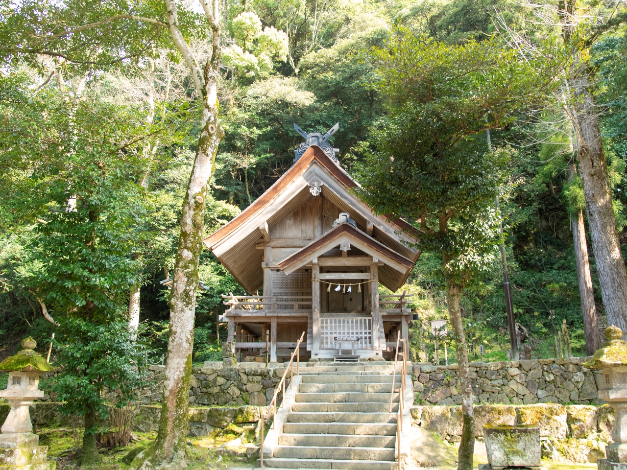 ��{�a�̐^���ɂ���u�f�A�Ёi�����̂₵��v�B�����̌����̓c�A�[���U��ɂ��肢���܂��B