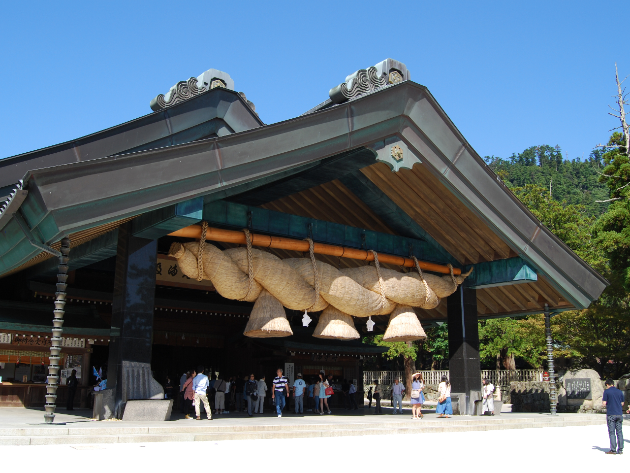 ������T�C�Y�̂��ߓꂪ����u�_�y�a�v�ŉ��U�ƂȂ�܂��B