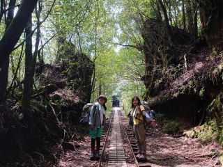 屋久島 縄文杉日帰りツアー 装備レンタル無料 カップル 女性同士におすすめ Yamakara屋久島 じゃらん遊び体験 屋久島 縄文杉日帰りツアー 装備レンタル無料 カップル 女性同士におすすめ Yamakara屋久島 じゃらん遊び体験