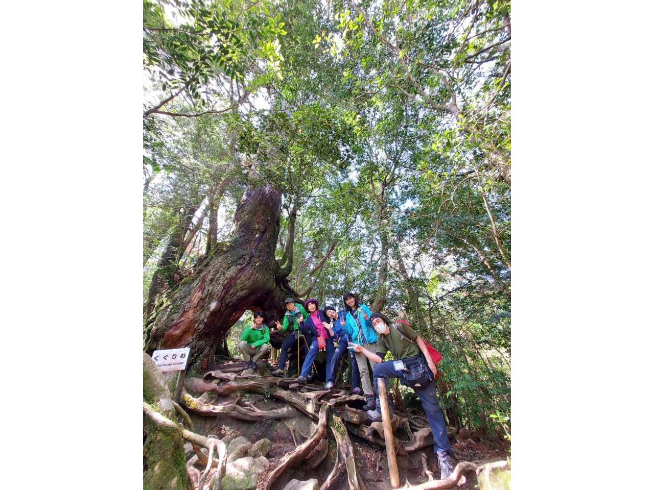 ܂悤ɂтA̖u萙vBFlЋLÓutHgvBĂ݂ĂB