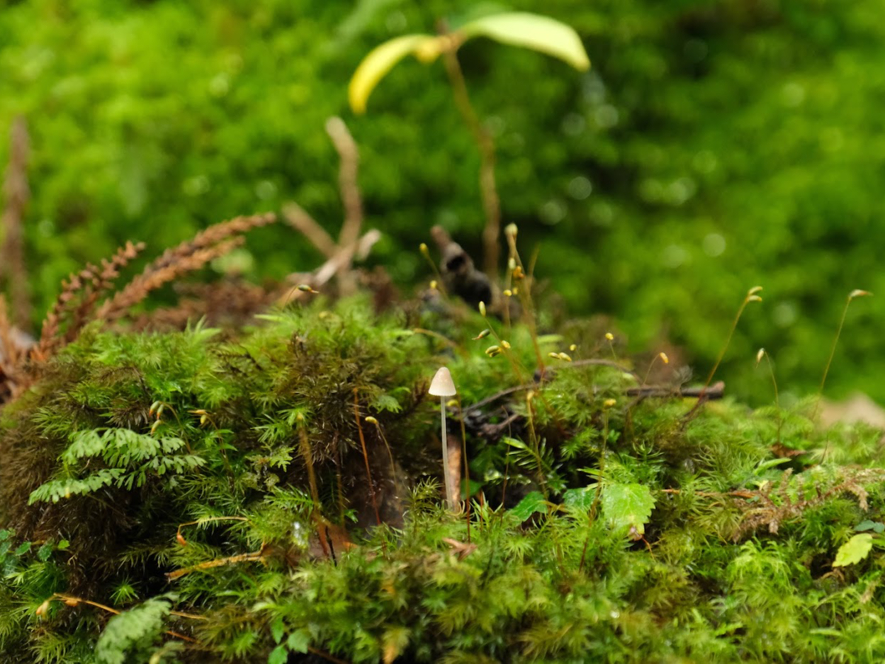 Lɐ܂񂾐A͐ڎʂĂGɂȂ܂B