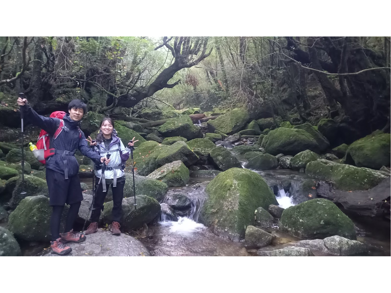 ł`W₷R[XAR𖞋iȂΊŃgbLOł܂B