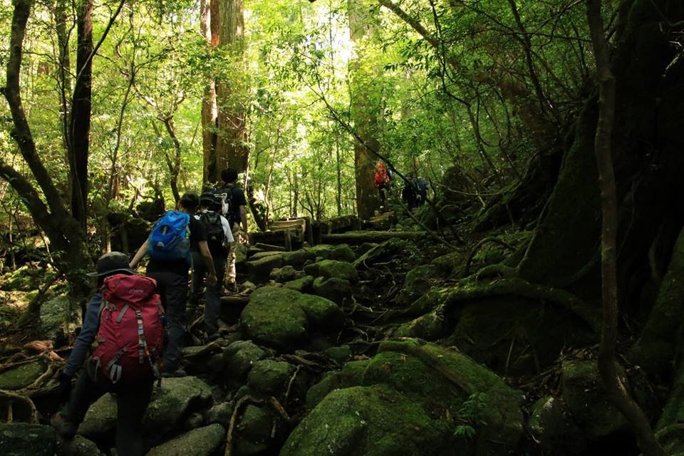 gbROI_߂A悢Rɓ˓I؂̍͊₷̂łȂׂ܂Ȃ悤ɒӂ܂傤I