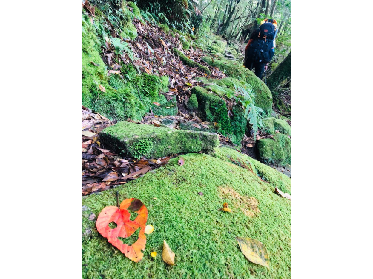 10ԂƂ̂BȕɗVł݂̂H