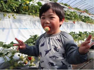 お子様も楽しめる高さ♪喜んでいただけます!