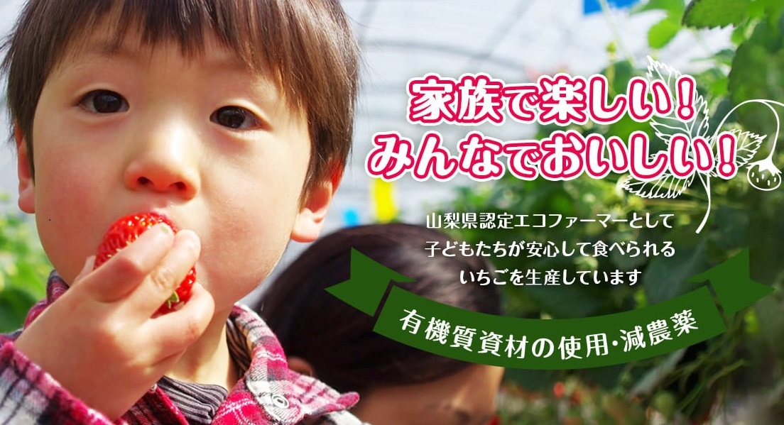 1組様ごとにエリアを分けてご案内 ミルクつき 30分間いちご狩り 3 1 4 10 甲府駅 石和温泉駅から 分 カップル ファミリーにおすすめ ストロベリーファーム石原 じゃらん遊び体験 1組様ごとにエリアを分けてご案内 ミルクつき 30分間いちご狩り 3 1 4 10 甲府駅 石和温泉駅から 分 カップル ファミリーにおすすめ ストロベリーファーム石原 じゃらん遊び体験