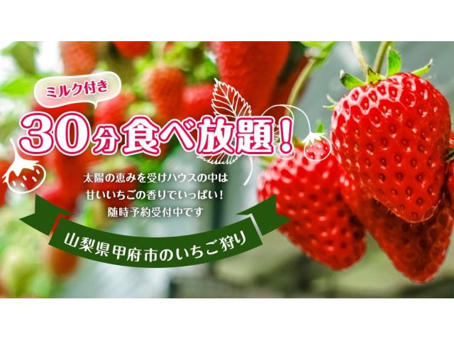 1組様ごとにエリアを分けてご案内 ミルクつき 30分間いちご狩り 3 1 4 10 甲府駅 石和温泉駅から 分 カップル ファミリーにおすすめ ストロベリーファーム石原 じゃらん遊び体験 1組様ごとにエリアを分けてご案内 ミルクつき 30分間いちご狩り 3 1 4 10 甲府駅 石和温泉駅から 分 カップル ファミリーにおすすめ ストロベリーファーム石原 じゃらん遊び体験