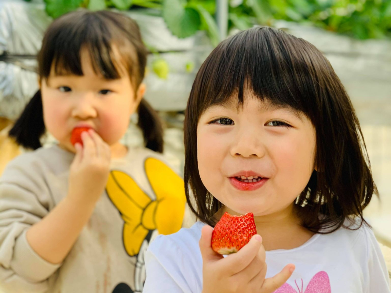 ���ݍ͔|�Ȃ̂ł��q�l���炭�炭�������������y���ݒ����܂��I