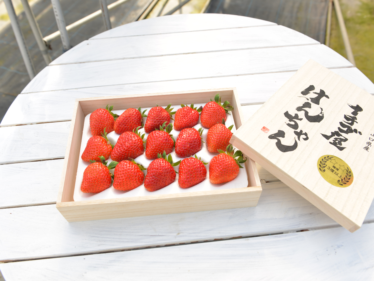 2026年☆リピーター様多数のいちご狩り☆【60分×いちご食べ放題！食べ