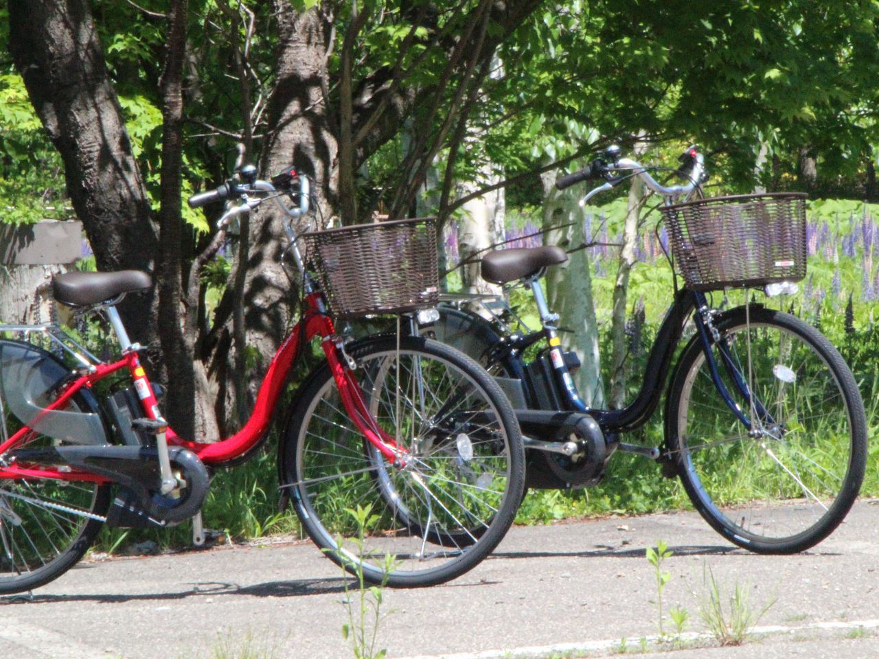 川湯温泉EZOライダー出発!屈斜路湖、摩周湖まで行ける♪レンタル電動自転車